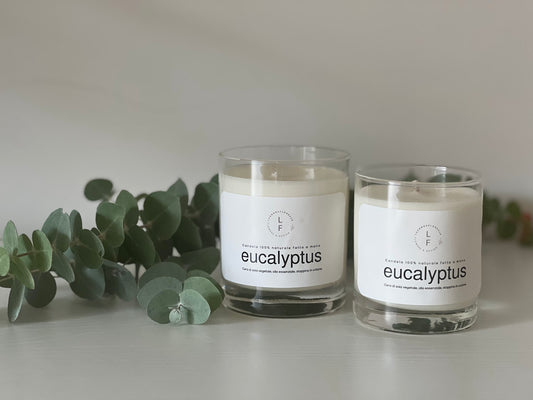 CANDELA EUCALYPTUS