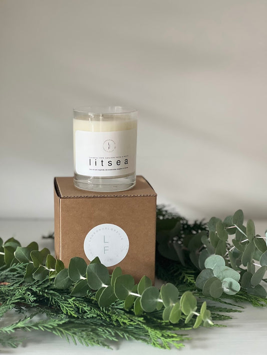 CANDELA LITSEA